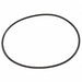 Pump Casing Cover O-Ring