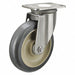 Standard Plate Caster Swivel 300 lb.