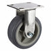 Standard Plate Caster Rigid 900 lb.