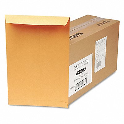 Catalog Envelopes 10 H 15 W PK250