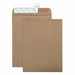 Catalog Envelopes 9 H 12 W PK100