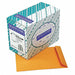 Catalog Envelopes 10 H 13 W PK250