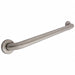 Grab Bar SS Satin 18 in L