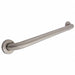 Grab Bar SS Satin 42 in L