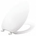 Toilet Seat Elongated Bowl Closed Front