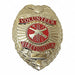 Metal Badge Volunteer Firefighter - Oval