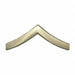 Metal Rank Insignia PVT. Chevron Nckl PR