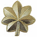 Metal Rank Insignia Maj. Leaf Gold PR
