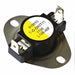 Hi Limit Thermoswitch