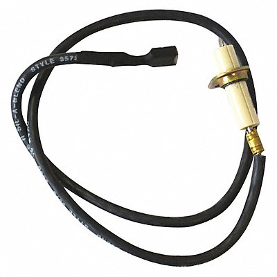 Electrode Assembly with Wire