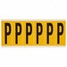 Letter Label P 1-1/2 in W x 3-1/2 in H