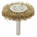 Brush 1 Lb