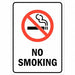 No Smoking Sign 14 inx10 in Aluminum