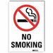 No Smoking Sign 14inx10in RflctvSheeting