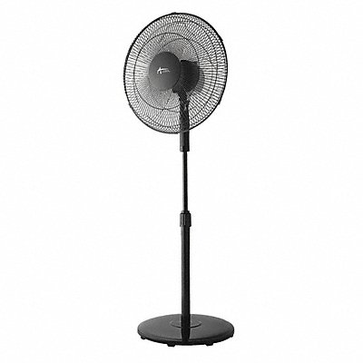 Oscillating Pedestal Fan 16 3-Speed Blk