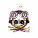 Manifold Gauge Sets