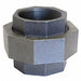 Union Malleable Iron 1 1/2 in NPT