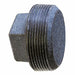 Square Head Plug Steel 3/4 in MNPT