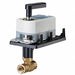 Ball Valve 2-Way 1/2 in NPT