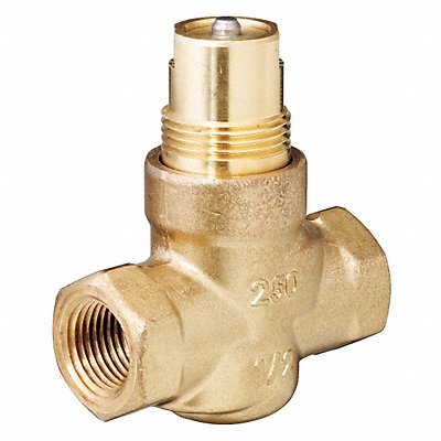 Control Valve Globe 3/4 in NPT