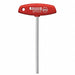 6Mm X 150Mm T Handle Hex