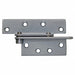 Pivot Hinge Steel