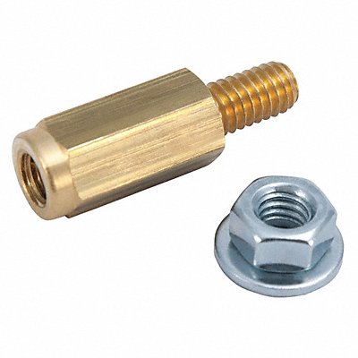 Nut Gold Bolt