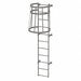 Fixed Ladder w/ Safety Cage Steel 10 ft.