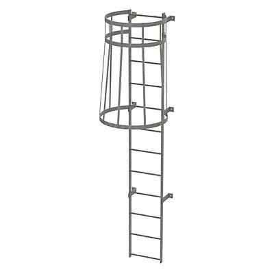 Fixed Ladder w/ Safety Cage Steel 11 ft.