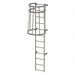 Fixed Ladder w/ Safety Cage Steel 11 ft.