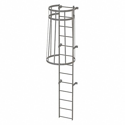 Fixed Ladder w/ Safety Cage Steel 12 ft.