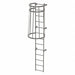 Fixed Ladder w/ Safety Cage Steel 12 ft.