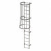 Fixed Ladder w/ Safety Cage Steel 13 ft.