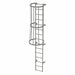 Fixed Ladder w/ Safety Cage Steel 14 ft.