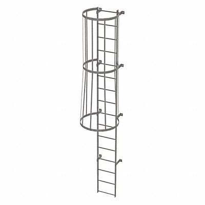 Fixed Ladder w/ Safety Cage Steel 15 ft.