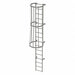 Fixed Ladder w/ Safety Cage Steel 15 ft.