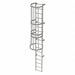 Fixed Ladder w/ Safety Cage Steel 16 ft.