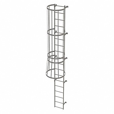 Fixed Ladder w/ Safety Cage Steel 17 ft.