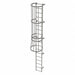 Fixed Ladder w/ Safety Cage Steel 17 ft.