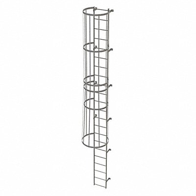 Fixed Ladder w/ Safety Cage Steel 21 ft.