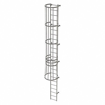 Fixed Ladder w/ Safety Cage Steel 22 ft.