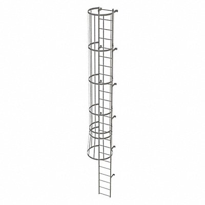 Fixed Ladder w/ Safety Cage Steel 23 ft.