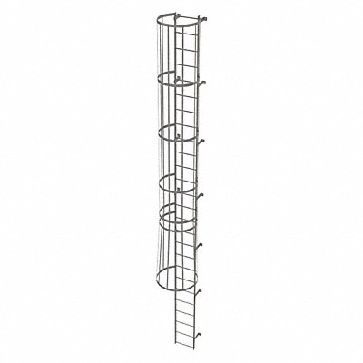 Fixed Ladder w/ Safety Cage Steel 25 ft.