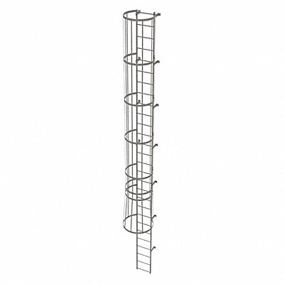 Fixed Ladder w/ Safety Cage Steel 27 ft.