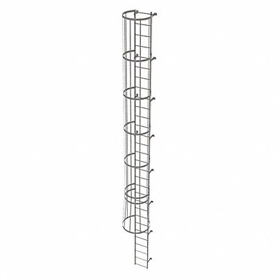 Fixed Ladder w/ Safety Cage Steel 29 ft.