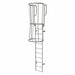 Fixed Ladder w/ Safety Cage Steel 10 ft.