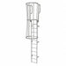 Fixed Ladder w/ Safety Cage Steel 11 ft.