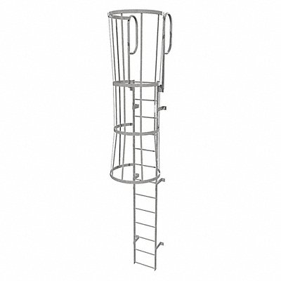 Fixed Ladder w/ Safety Cage Steel 12 ft.