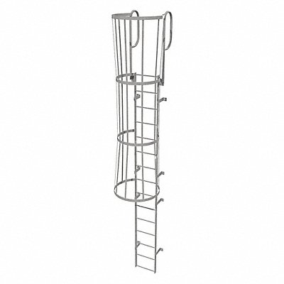 Fixed Ladder w/ Safety Cage Steel 14 ft.