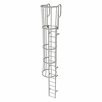 Fixed Ladder w/ Safety Cage Steel 16 ft.